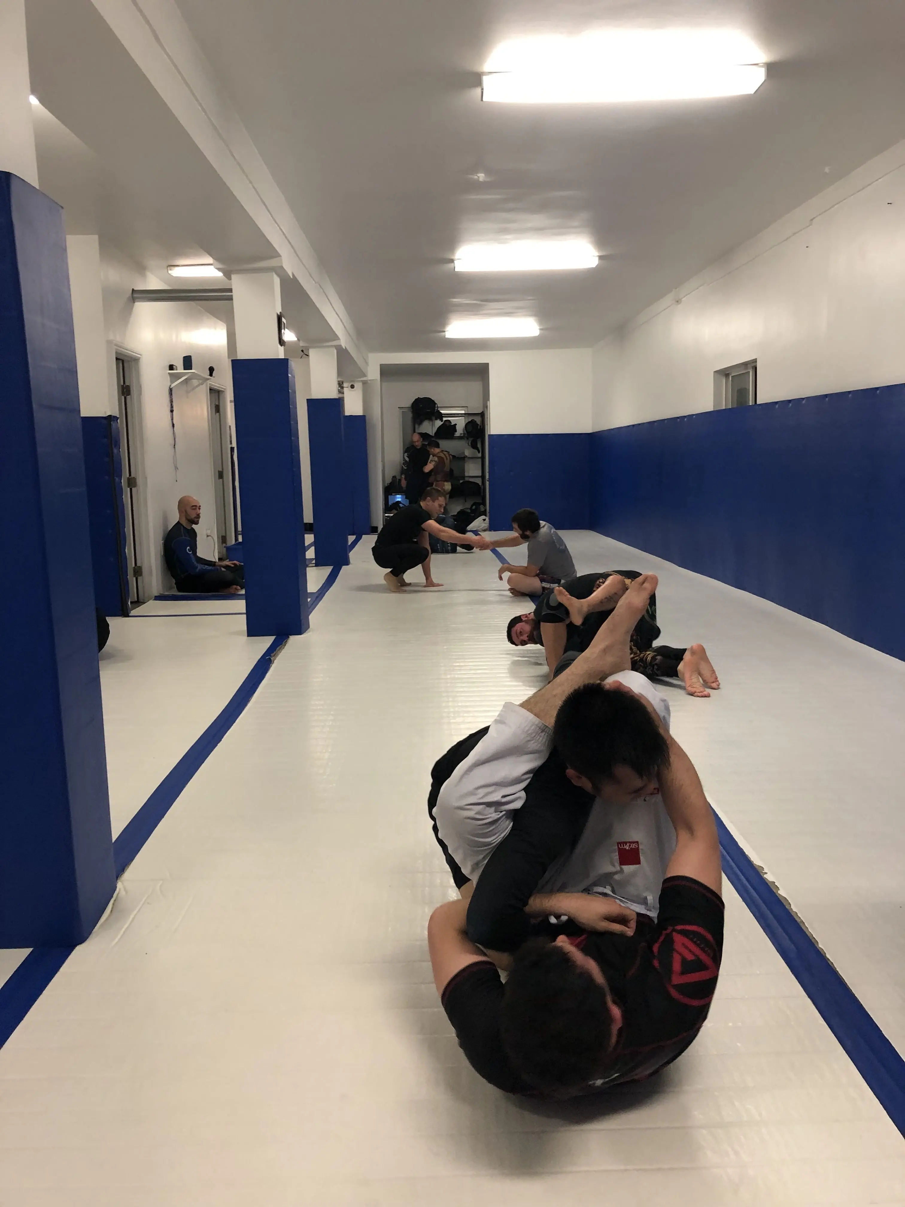 SFBJJ