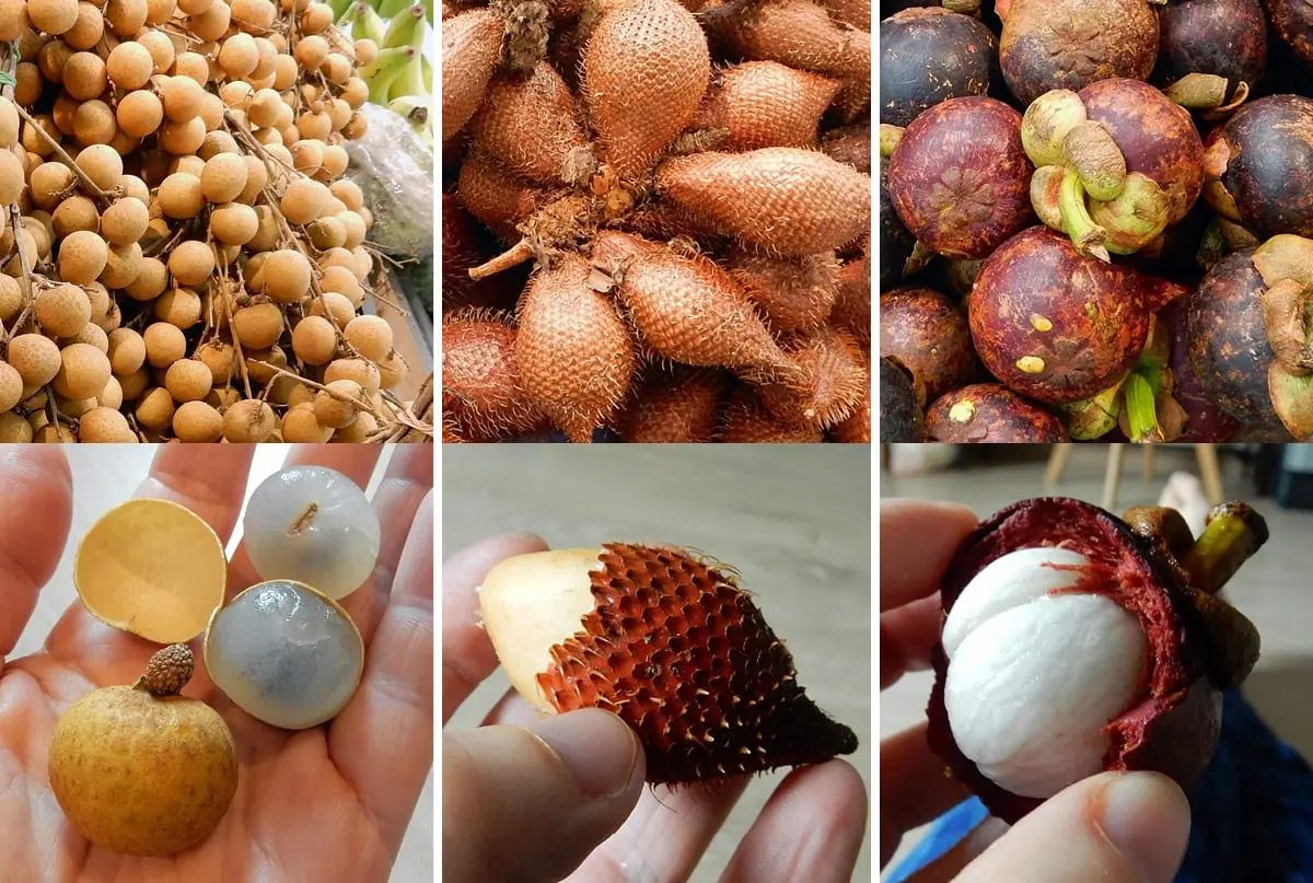Bangkok, Thailand: Longkongs (left), snake fruit (middle), mangostens (right)