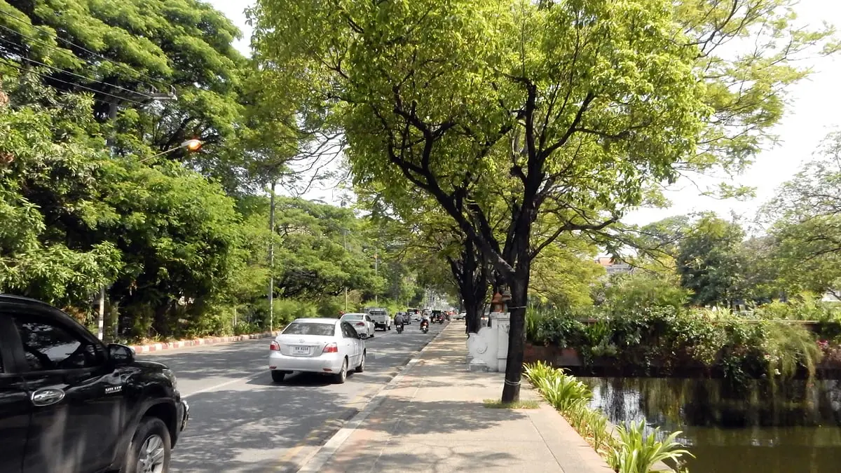 Chiang Mai, Thailand: so green and lush in some areas!