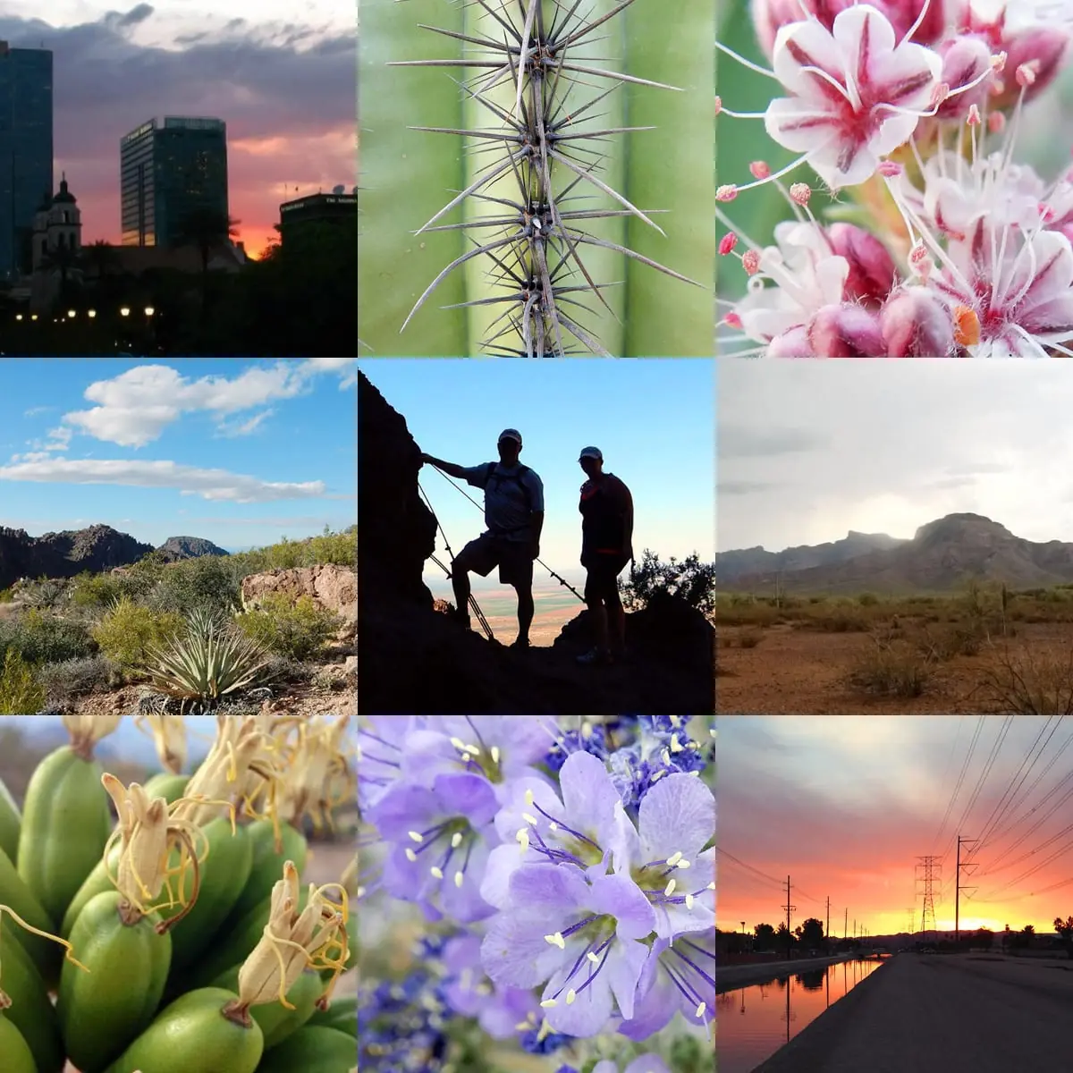 Phoenix, Arizona