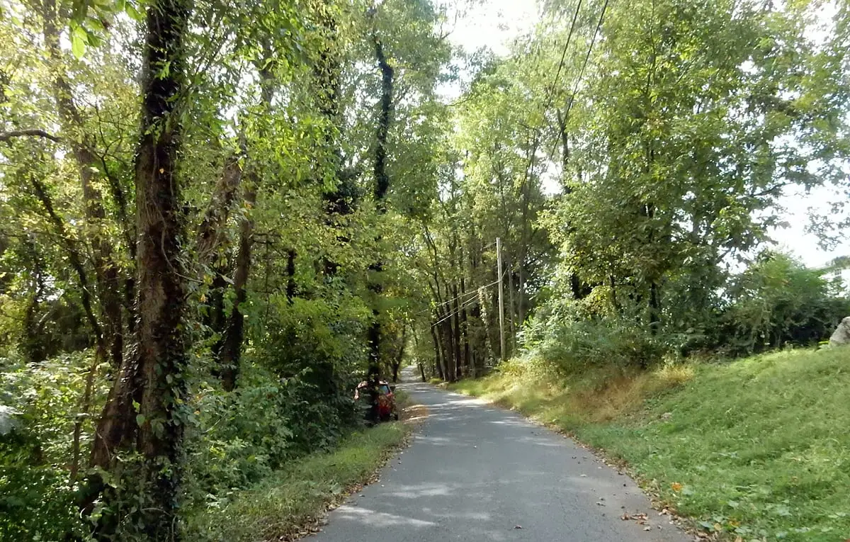 Harrisburg, Pennsylvania: So green!