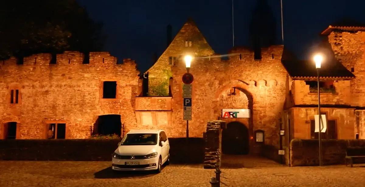 Summer Camp 2019 in Heidelberg: Small castle ruins