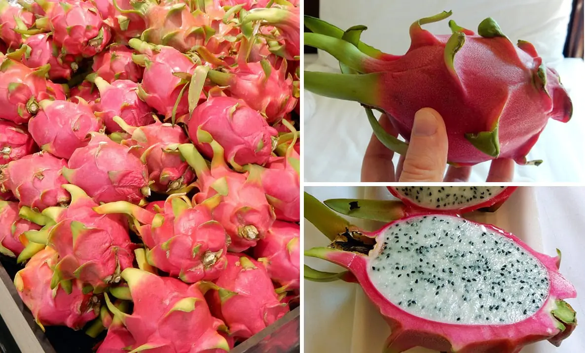 Bangkok, Thailand: Beautiful dragon fruit!