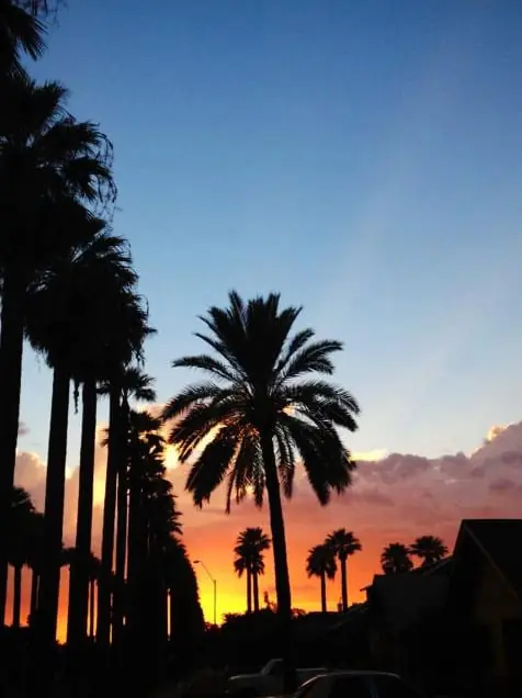 Phoenix has some of the most beautiful sunsets I've ever seen.