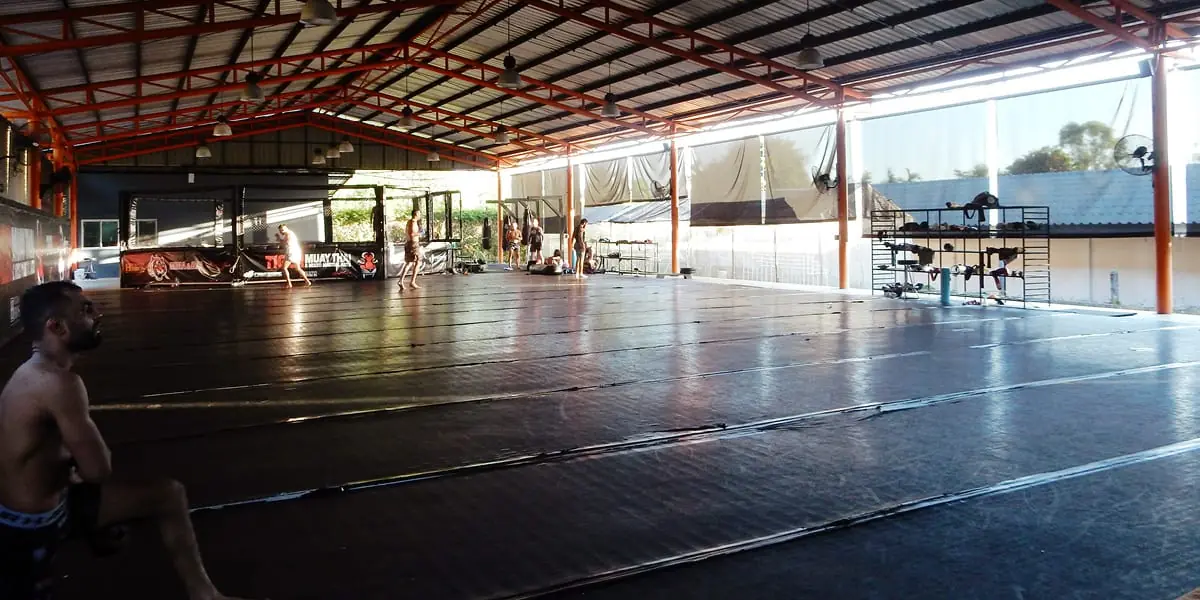 Tiger Muay Thai mats
